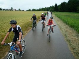 Ein toller Weg führt über die Felder