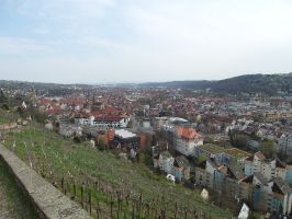 Herrlicher Blick auf Esslingen