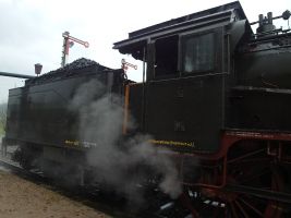 Die Lok ist mit Kohle beladen und steht zur Abfahrt bereit