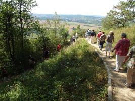 Ein schmaler Weg führt zu den steilen Felsen der Hessigheimer Felsengärten