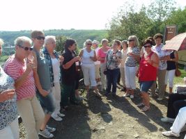 Die dritte Probe an Württembergs SCHÖNSTER WEINSICHT 2012