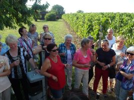 Hier sind die Damen bereits bei ihrer letzten Weinprobe 