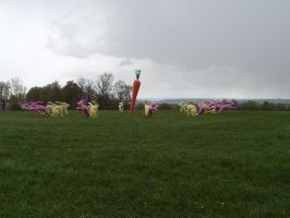 Den Hasen aus der Landesgartenschau kann das kalte Wetter nichts anhaben ...