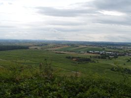 Blick vom Mönchsberg über das Zabergäu