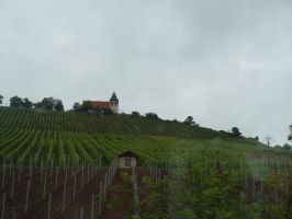 Der Michaelsberg bei Cleebronn