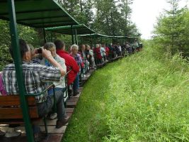 Das Bähnle fährt mitten hinein in das landschaftlich reizvolle Wurzacher Ried