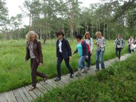 Eine kleine Gruppe spaziert über Holzplanken hinaus zum Riedsee ...