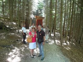 Im angrenzenden Wald gibt es ebenfalls viel zu bestaunen