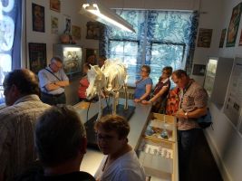 Im Schweinemuseum gibt es viele interessante und lustige Exponate zu sehen