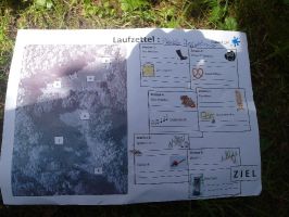 Jede Gruppe erhält einen Laufzettel, auf dem die verschiedenen Stationen beschrieben sind ...