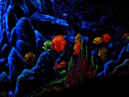 Besonderes Erlebnis, besondere Farbenpracht