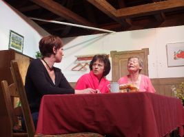 Vroni ist am nächsten Morgen ziemlich gerädert und berät sich mit Susi und Mathilde wie es weitergehen soll