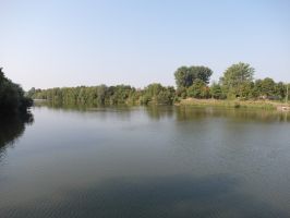 Idyllisch die Landschaft im Seitenarm des Neckars