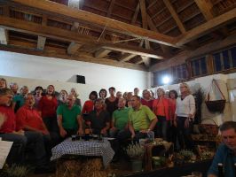 Der Titel GRIECHISCHER WEIN wird szenisch untermalt ...