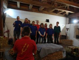 FERMATE präsentiert den Titel LEMON TREE