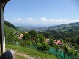 Landschaftlich reizvoll geht es nach oben ...