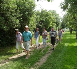 ... doch schon bald nähert sich die Wandergruppe dem Mutzenreiswald - hier im Schatten der Bäume ist es angenehm!