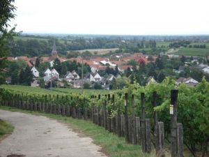 Blick auf Heuchelheim