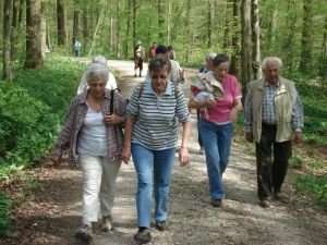 Letzter Anstieg im Alten Eichwald
