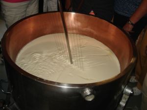 Mit der KÄSEHARFE wird die Gallerte in kleine Stücke zerteilt