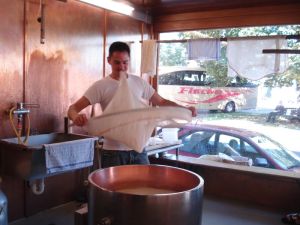 Mit einem Käsetuch holt Stefan den Käsebruch aus dem Kessel