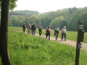 Die Gruppe wandert durchs Sulzbachtal