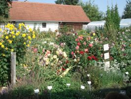 Ein Teil des liebevoll angelegten Bauerngartens 