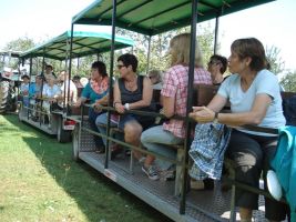 Gespannt folgen die Damen den Ausführungen der Bäuerin