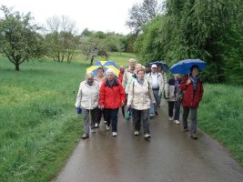 Die Spaziergänger auf dem Weg nach Nellingen
