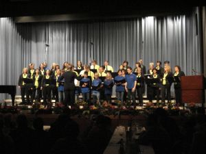 Der kleine grüne Kaktus wird präsentiert vom Jugendchor FERMATE und der STIMMGABEL